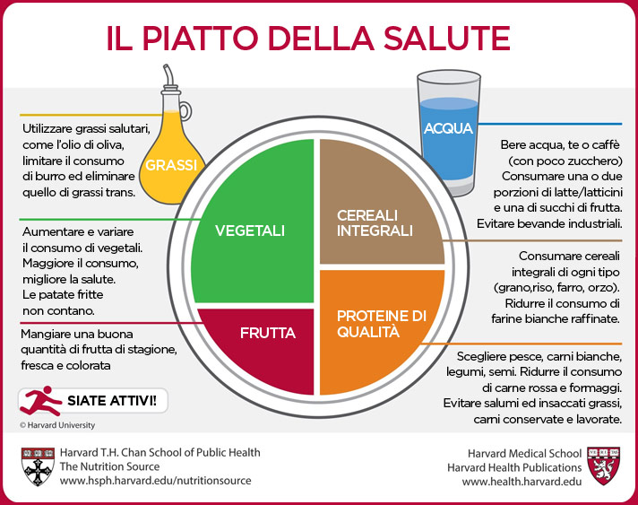 Dieta del piatto unico e dissociata a confronto - La Dott.ssa Feola  consiglia - News&Social di Giovanna Tramontano