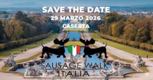 6d6f31d2-698c-4ea1-b018-c9fd2d0a726c-300x157 Sausage Walk Italia 2026: il 29 marzo i bassotti invadono 35 località per l’ottava edizione della passeggiata più lunga d’Italia 🐾